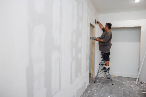 Best Industrial Mold Remediation  in Monticello, MN