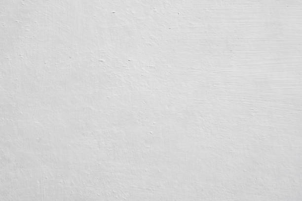 Best Mold Damage Restoration  in Monticello, MN